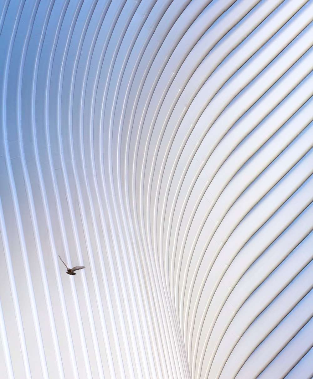Stainless Steel Applied in the Oculus (Photo Courtesy of duo Hufton + Crow & Dezeen 2016)